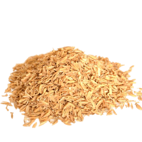 قیمت خرید شلتوک برنج